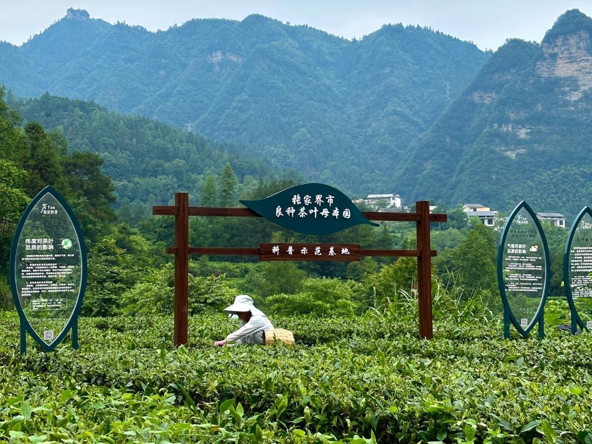 Zhangjiajie National Park Nvue Resorts Exterior foto